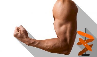 Verimli bir Gün ve Üretkenliğin 3 Büyük Sırrı