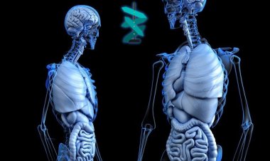 5 Başlıkta İrade Taş Gibi Bir İradeye Nasıl Güçlendirilir