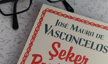 Şeker Portakalı Eleştirisi