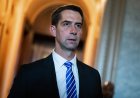 Senatör Cotton, DHS'yi Hamas'ı destekleyen yabancı uyruklu kişileri sınır dışı etmeye çağırıyor: 'ABD'de yeri yok'
