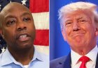 Tim Scott, Trump'ın İsrail Başbakanı Netanyahu'ya yönelik eleştirisine yanıt verdi: 'Korkunç ve yararlı değil'