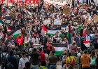 Hamas saldırıları ve Harvard: Üniversitenin tamamen uyanma kararlılığı ahlaki iflasa yol açıyor