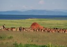 Alman turist Zimbabwe milli parkında kaybolduktan 3 gün sonra canlı bulundu