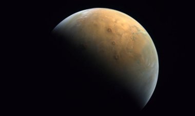 Kızıl Gezegen atılımı: NASA, Mars'ta küçük bir köpeği 10 saat hayatta tutmaya yetecek kadar oksijen üretiyor