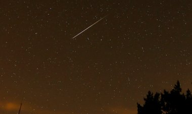 Perseid meteor yağmuru bu hafta sonu ideal koşullarla zirveye çıkıyor