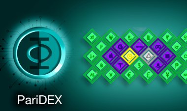 PariDEX Kriptopara Projesi, Avantajları Neler?, Nasıl Çalışır?, Nasıl Alınır ve Transfer Edilir?