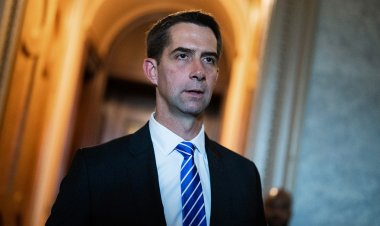 Senatör Cotton, DHS'yi Hamas'ı destekleyen yabancı uyruklu kişileri sınır dışı etmeye çağırıyor: 'ABD'de yeri yok'