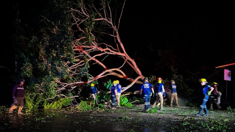 Meksika'da 1 ölü, 2 yaralı bırakan Lidia Kasırgası dağıldı