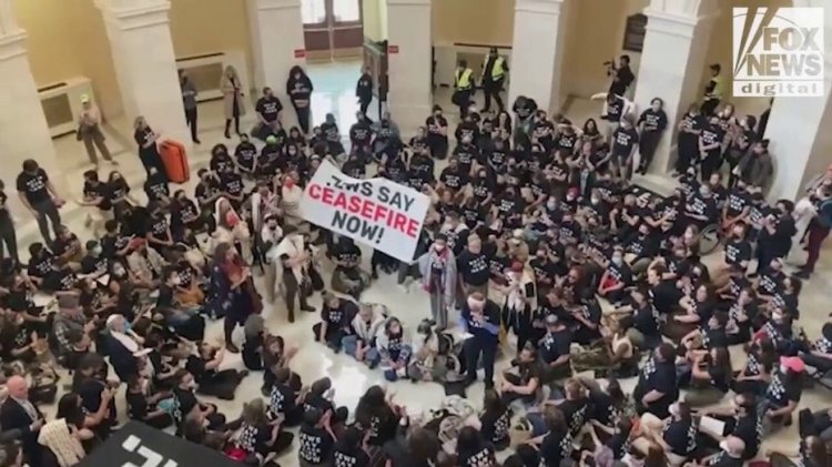 Filistin yanlısı göstericiler Capitol Hill'e akın etti, polis protestocuları tutuklarken Gazze'de ateşkes talep etti