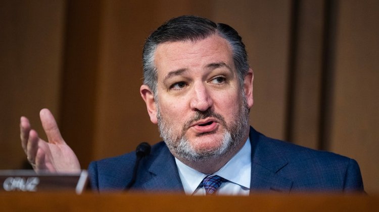 Cruz, Biden'ın 105 milyar dolarlık fon talebinin sınır krizini daha da kötüleştirmek için 'tasarlandığını' söyledi