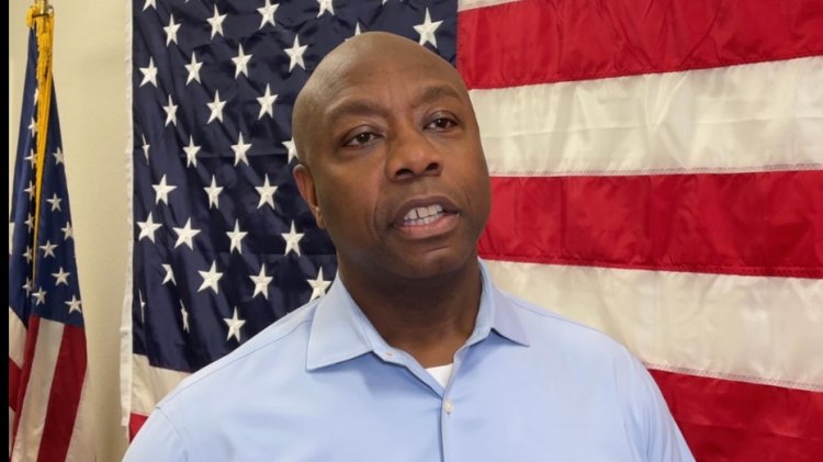 Tim Scott, Iowa'da 'her şey dahil' hareketinin neden 'oylara dönüşeceğini' açıklıyor: 'Mesaj yankı uyandırıyor'