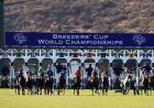 At, Yetiştiriciler Kupası'nda yarışmasının planlandığı tarihten birkaç gün önce ölür; Belmont Stakes kazananı çizildi