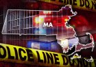Salem, Massachusetts'te yerel Cadılar Bayramı kutlamaları sırasında üniversite öğrencisi ölümcül bir şekilde vuruldu