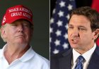 Bağışçılar, DeSantis'in ilgi çekememesi nedeniyle hayal kırıklığına uğradı; Trump'ın alternatifi için başka yerlere 'dikkatlice bakın'