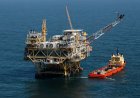 Meksika Körfezi petrol ve gaz kiralama satışı, nesli tükenmekte olan balinaların korunması nedeniyle ertelendi