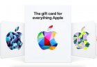 Sinsi CEO Apple hediye kartı dolandırıcılığı neredeyse beni nasıl etkiledi?