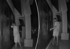 İddiaya göre gecekondu yeni evini bulmak için gösterişli mahallede dolaşıyor: video