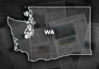 WA'lı genç, Seattle otobüsünde bir adamı ölümcül bir şekilde vurduktan sonra teslim oldu