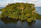 Florida'lı işadamı, 8 milyon dolar değerindeki Kovid-19 yardım fonuyla özel bir ada satın aldıktan sonra parmaklıklar ardında