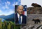 Biden yönetiminin yırtıcı hayvanı kırsal toplulukların yakınında serbest bırakma planı yaygın muhalefetle karşı karşıya: 'Büyük bir tehdit'