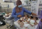 ABD'nin Hamas'ın buradaki operasyonlarını doğrulamasının ardından Gazze'nin en büyük hastanesinden 31 prematüre bebek tahliye edildi