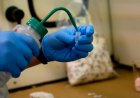 DEA tarafından şimdiye kadar test edilen en güçlü fentanil tedarikinin arkasında uyuşturucu operasyonunu yönetmekle suçlanan adam: savcılar