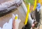 Kaliforniya polisi, evcil hayvan mağazası soygununda düzinelerce Fransız bulldogun minibüse atıldığını gösteren videonun ardından şüphelileri arıyor