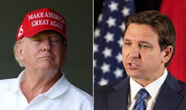 Bağışçılar, DeSantis'in ilgi çekememesi nedeniyle hayal kırıklığına uğradı; Trump'ın alternatifi için başka yerlere 'dikkatlice bakın'