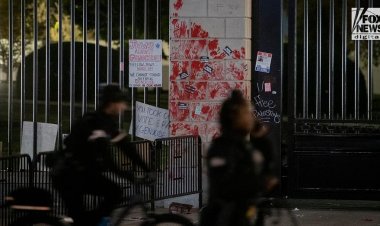 Vandalizm eylemlerinden sonra sadece 1 Filistin yanlısı DC protestocusu tutuklandı ve Beyaz Saray'ın çitlerine tırmanma teklifinde bulundu
