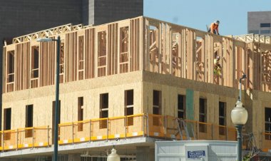 Colorado sakinleri türünün tek örneği ev sahibi vergi indirimi planına oy verecek