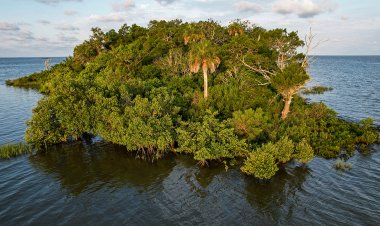 Florida'lı işadamı, 8 milyon dolar değerindeki Kovid-19 yardım fonuyla özel bir ada satın aldıktan sonra parmaklıklar ardında