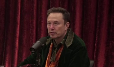 İfade özgürlüğü savunucuları Elon Musk'u 'devlet destekli sansürle' mücadele etmeye zorluyor: dilekçe