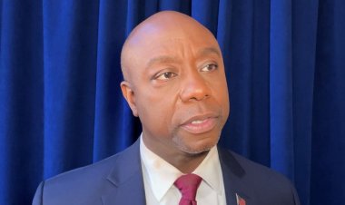 Trump, DeSantis veya Haley: Tim Scott'ın 2024 GOP başkanlık yarışından çekilmesinden kim faydalanacak?