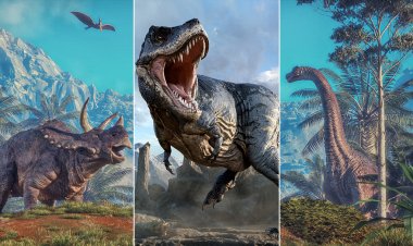 Gerçek hayattaki 'Jurassic World' başka bir gezegende var olabilir
