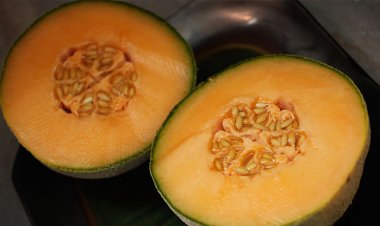 Salmonella ile enfekte kavunlar 15 eyalette düzinelerce hasta bırakıyor: sağlık yetkilileri