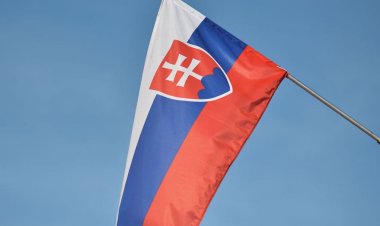 Slovakya, Çin'e ait araba aküsü fabrikasının inşasına doğru ilerliyor
