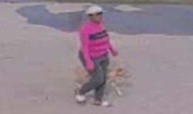 'Ölmeye terk edildi': Polis, köpeğini çöp kutusuna bağlı bırakan Teksaslı kadını arıyor