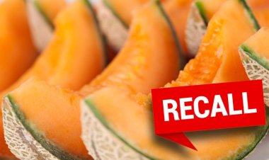 Kavunlarla bağlantılı Salmonella salgını 2 kişiyi öldürdü, 99'a bulaştı: Bu bir 'uyandırma çağrısı'