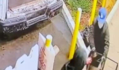Kaliforniya polisi, evcil hayvan mağazası soygununda düzinelerce Fransız bulldogun minibüse atıldığını gösteren videonun ardından şüphelileri arıyor