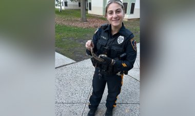 Sürüklenen sürpriz: New Jersey yurt odasında bebek pitonu keşfedildi
