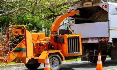 Virginia'lı adam kafa üstü odun öğütücüye çekildikten sonra öldü: rapor