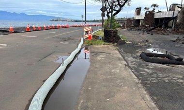 Maui yetkilileri, şiddetli yağmurların ölümcül Lahaina orman yangınlarından çıkan küllerin yağmur kanallarına gönderilmesinden endişe ediyor