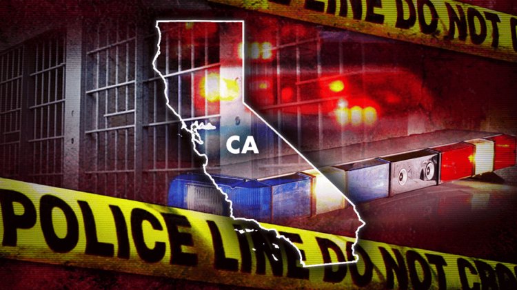 Kaliforniyalı sürücü, Los Angeles şerifinin acemisinin ölümüne neden olan ölümcül ters yönlü kazayla suçlandı