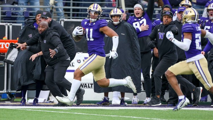 Washington defans oyuncusu, kafa karıştırıcı oyunda muhtemel touchdown üzerine topu kale çizgisinden önce düşürüyor