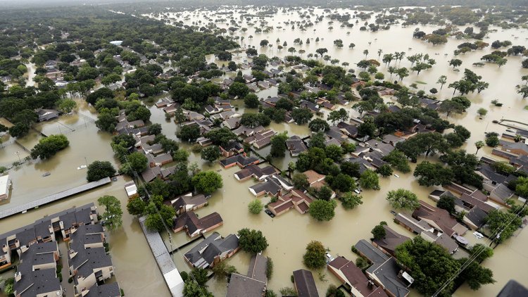 Texas Eğitim Kurulu, fen ders kitaplarında iklim değişikliğinin nasıl ele alınacağı konusunda ikiye bölündü