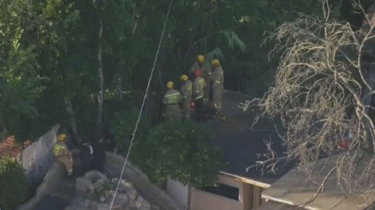 Yaklaşık 6 aydır kayıp olan kişiyle bağlantılı olarak Los Angeles semtindeki bahçeden çıkarılan insan kalıntıları