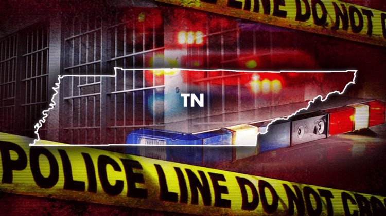 Seri seks suçlusu olduğundan şüphelenilen Tennessee'den kaçan mahkum Tampa yakınlarında yakalandı