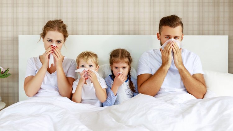 Soğuk algınlığı ve gribin evinize yayılmasını nasıl önleyeceğiniz aşağıda açıklanmıştır
