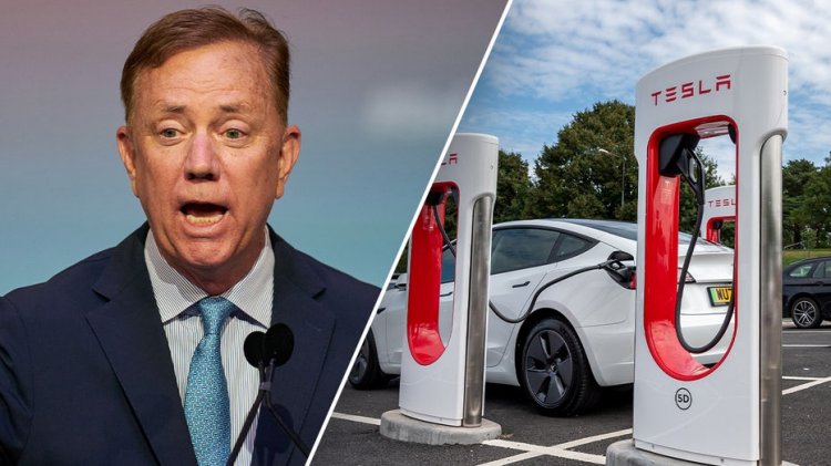 Dem valisi, çevrecilere çarpıcı bir darbe vurarak elektrikli araç yetkisini geri çekti