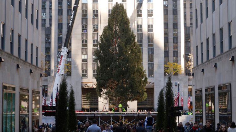 NYPD, Rockefeller Center'daki ağaç aydınlatmalarının Filistin yanlısı aktivistler tarafından kesintiye uğraması ihtimaline karşı uyardı: Rapor